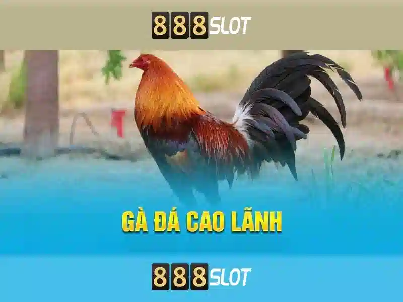 Tại sao người chơi chọn 888slot