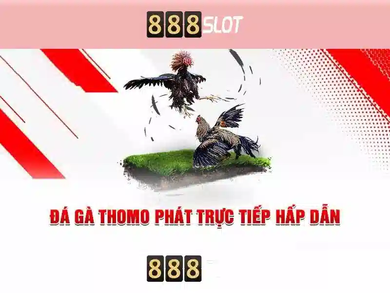 888Slot: Nền tảng slot trực tuyến đáng tin cậy