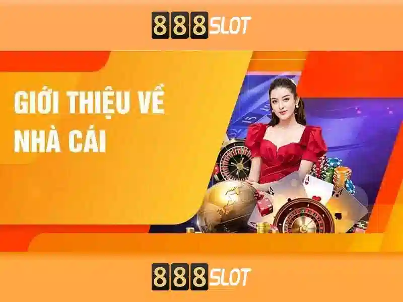 Lưu ý an toàn và chăm sóc người chơi