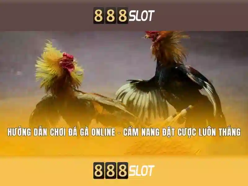 Giao diện nhà cái hoàn hảo