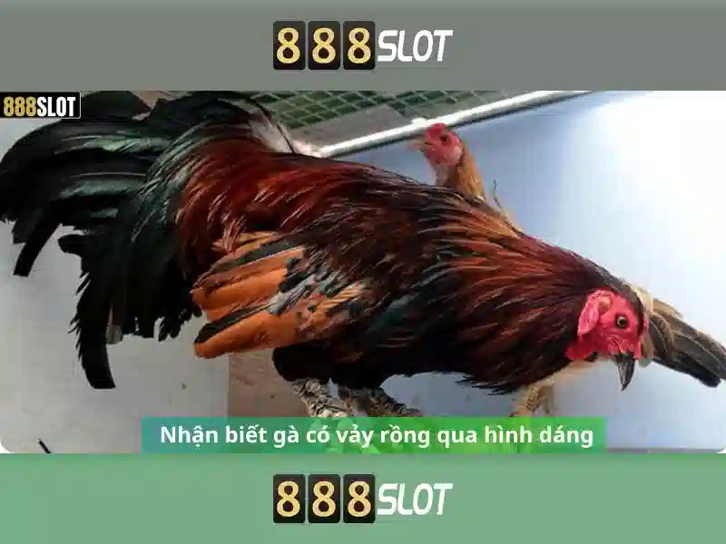 888slot: Nền tảng slot trực tuyến an toàn và giải trí Giao diện nhà cái hoàn hảo