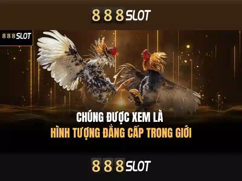 Cổng thanh toán an toàn và khuyến mãi