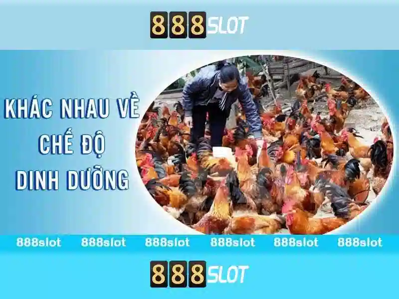 Gioi thieu ve 888slot