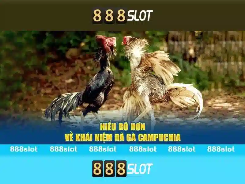Giao diện và trải nghiệm người dùng