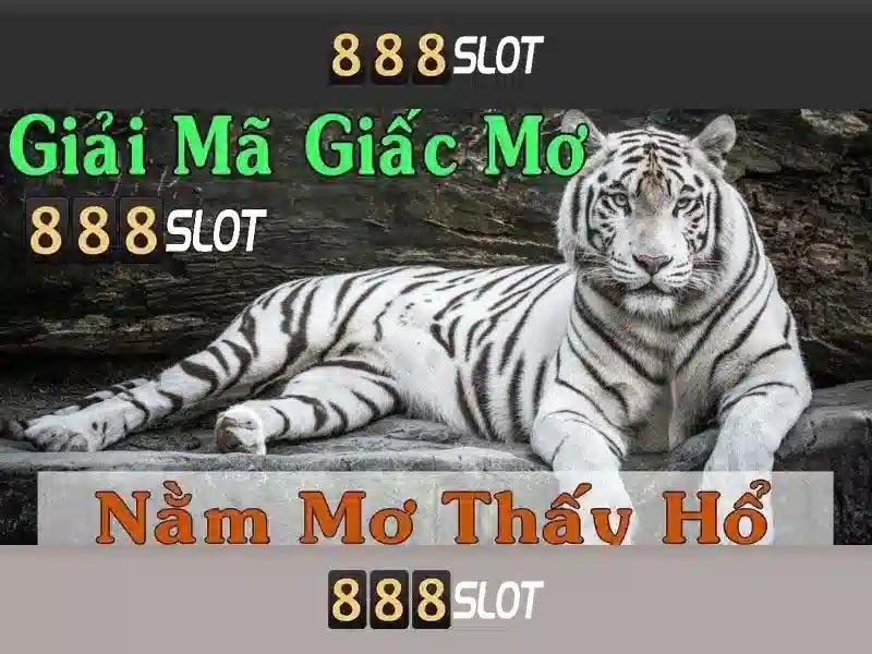 888Slot: Nền tảng chơi slot trực tuyến đáng tin cậy Giao diện nhà cái hoàn hảo
