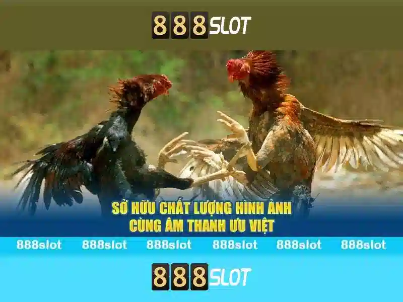 888slot - Nền tảng máy xèng trực tuyến uy tín