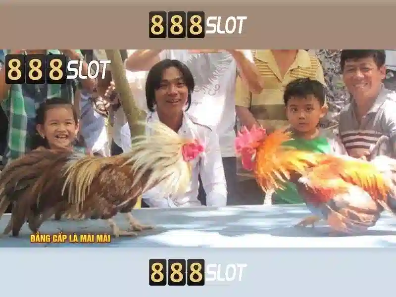 Giao diện nhà cái hoàn hảo