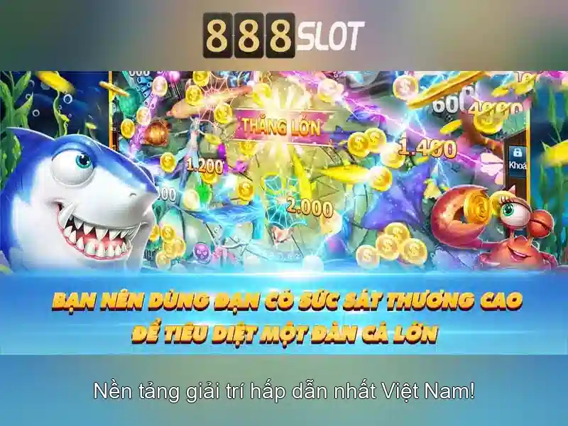 Trải nghiệm người dùng và hỗ trợ