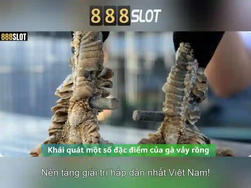 Giới thiệu về 888slot