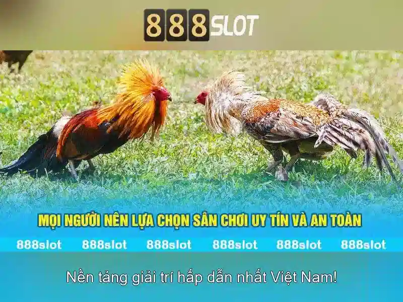 Giao diện nhà cái hoàn hảo