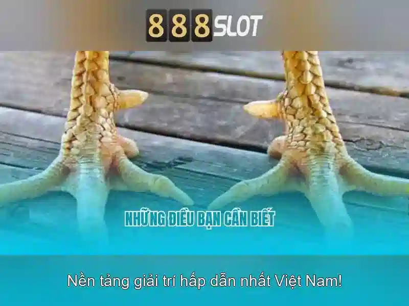 An toàn và thanh toán