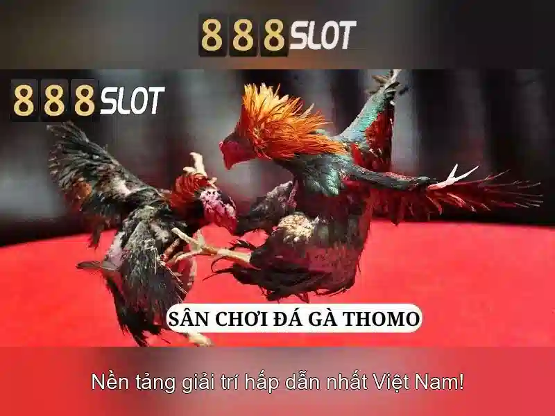 Giao diện nhà cái hoàn hảo