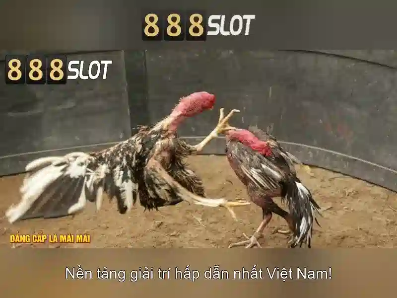 888slot: Nền tảng trò chơi trực tuyến phổ biến
