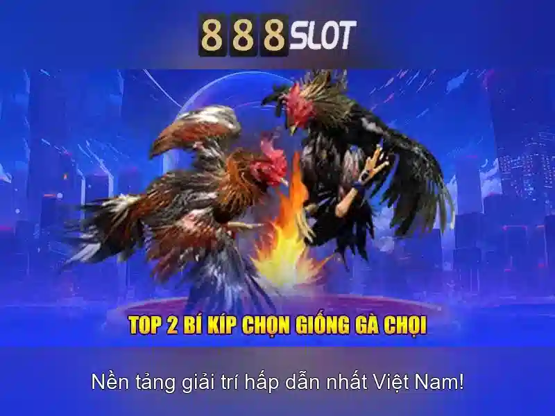 Khám phá 888slot - nền tảng slot trực tuyến hàng đầu